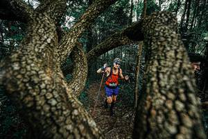 BIB: 
                            <button type="button" onclick="openModal(25392873)" class="btn btn-primary btn-sm float-right btn-popup" data-toggle="modal" data-target=".modal-high-quality">
                        <i class="fas fa-shopping-cart"></i> Add to Cart
                    </button>
                                            <button type="button" onclick="isThisMe(25392873, true)" class="btn btn-success btn-sm float-right btn-popup btn-isme hidden" data-toggle="tooltip" data-placement="bottom" title="นี่คือรูปของคุณใช่ไหม คลิกที่นี่เพื่อเอาเข้าอัลบั้ม">
                        <i class="fas fa-plus"></i> Add to album
                    </button>
                    <button type="button" onclick="isThisMe(25392873, false)" class="btn btn-warning btn-sm float-right btn-popup btn-isnotme hidden">
                        <i class="fas fa-ban"></i> Remove from album
                    </button>